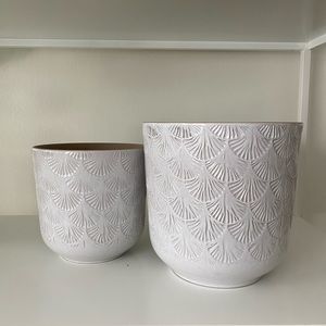 2 Plant Pots